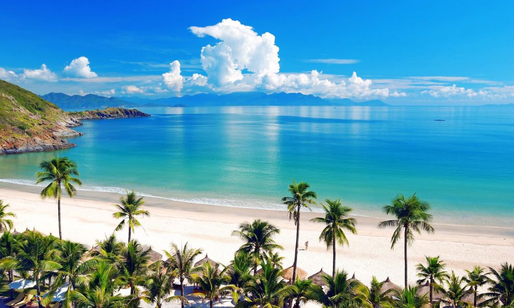 new-year-2026-vietnam-travel-guide